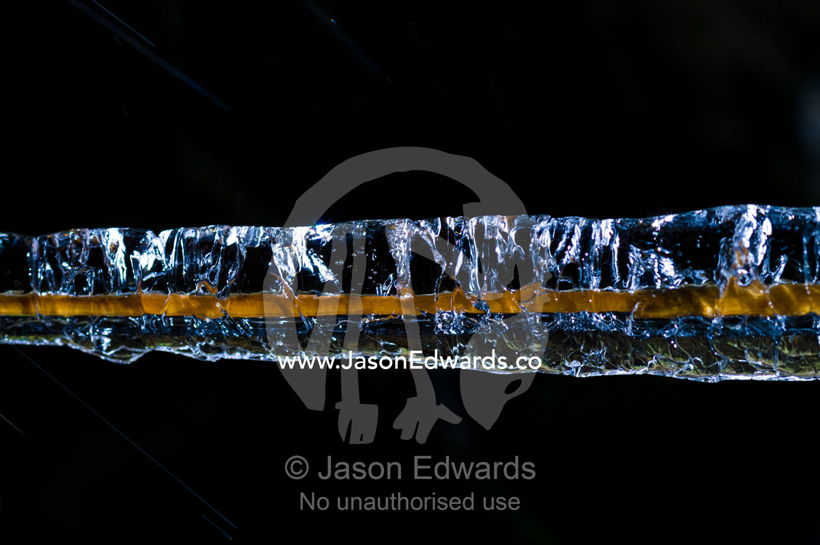 Water drops from a stream encase a blade of grass in ice in winter. Dochula Pass, Thimphu District, Bhutan.