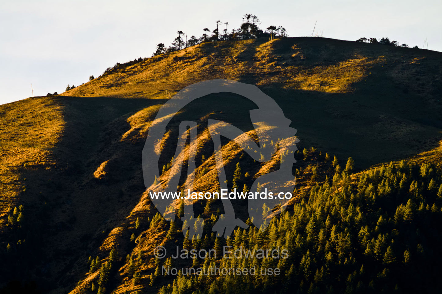 The setting sun lights the summit of a small hill and conifer forest above a Himalayan wetland. Phobjikha Conservation Area, Phobjika Valley, Phobjikha Valley, Gangteng Valley, Black Mountains, Bhutan.