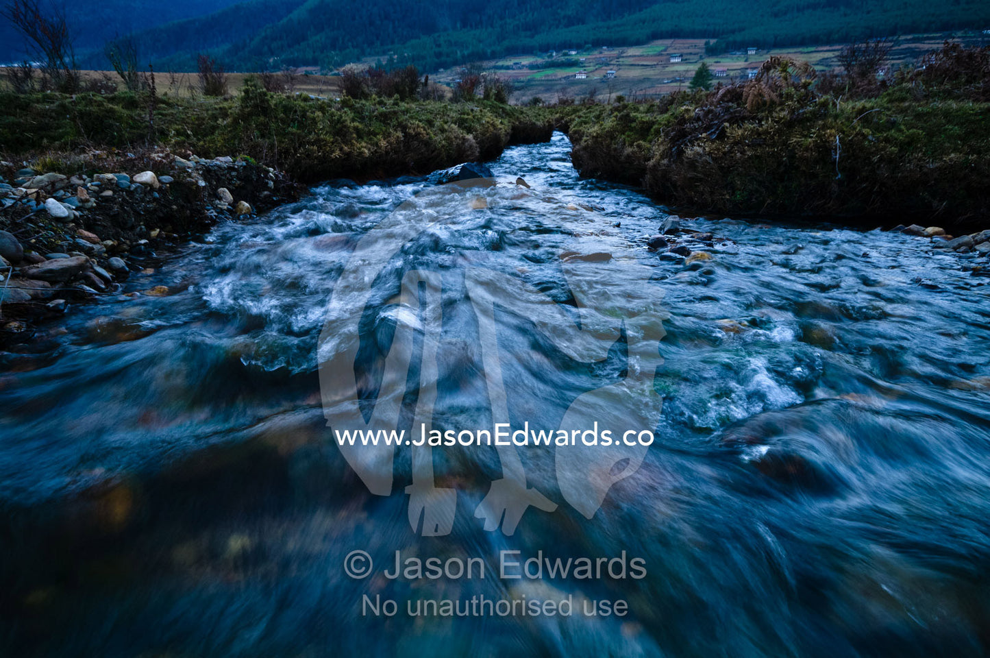 Freshwater flowing down an alpine stream into a high altitude wetland in the Himalaya. Phobjikha Conservation Area, Phobjika Valley, Phobjikha Valley, Gangteng Valley, Black Mountains, Bhutan.