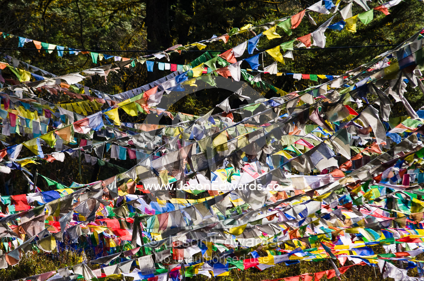A tangled canopy of prayer flags draped between trees on a mountain. 108 Druk Wangyal Khangzang Chortens, Dochula Pass, Thimphu District, Bhutan.