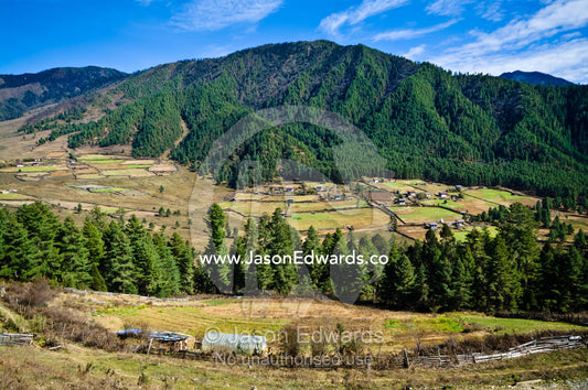 A picturesque Himalaya valley with Bhutanese farmhouses and agricultural fields. Phobjikha Conservation Area, Phobjika Valley, Phobjikha Valley, Gangteng Valley, Black Mountains, Bhutan.