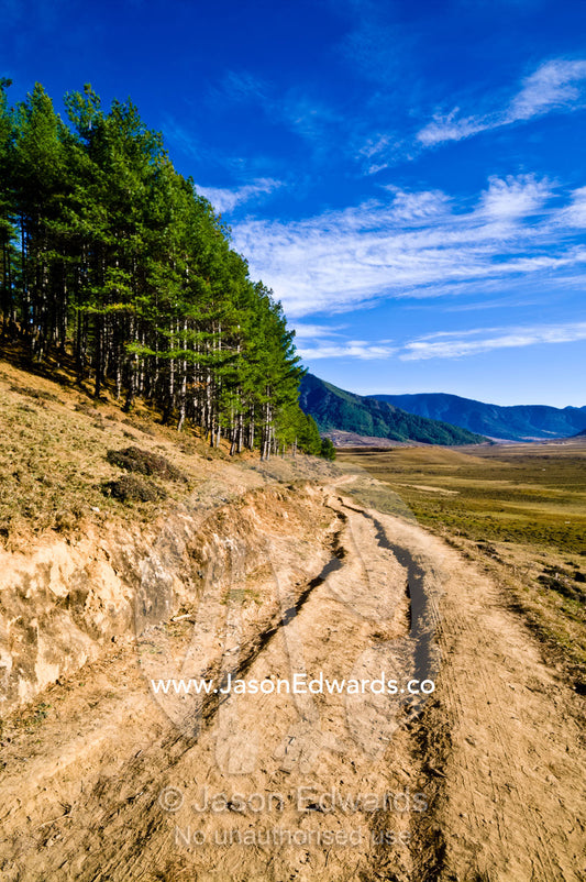 Deep vehicle ruts in a dirt road skirting a hillside covered in forest and a high altitude wetland. Phobjikha Conservation Area, Phobjika Valley, Phobjikha Valley, Gangteng Valley, Black Mountains, Bhutan.