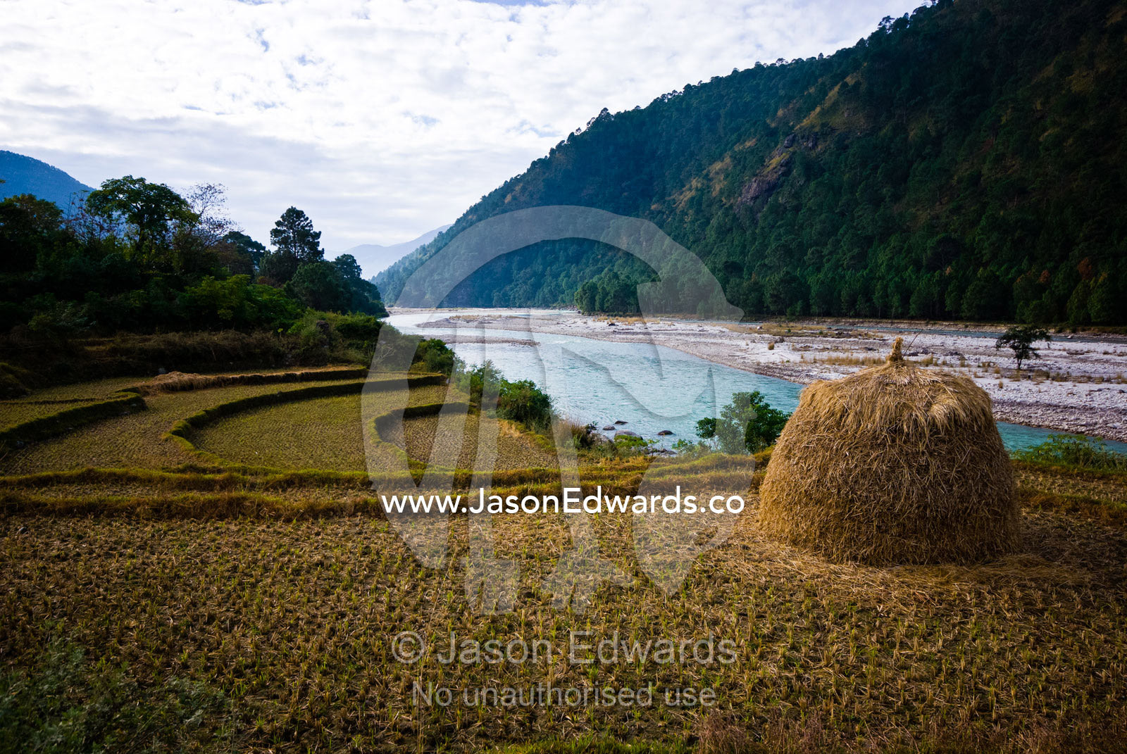 A dome of hay resting on a terraced farm field in a Himalaya valley. Punakha River, Punakha Valley, Punakha-Wangdiphodrang District, Bhutan.