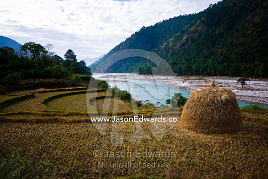 A dome of hay resting on a terraced farm field in a Himalaya valley. Punakha River, Punakha Valley, Punakha-Wangdiphodrang District, Bhutan.