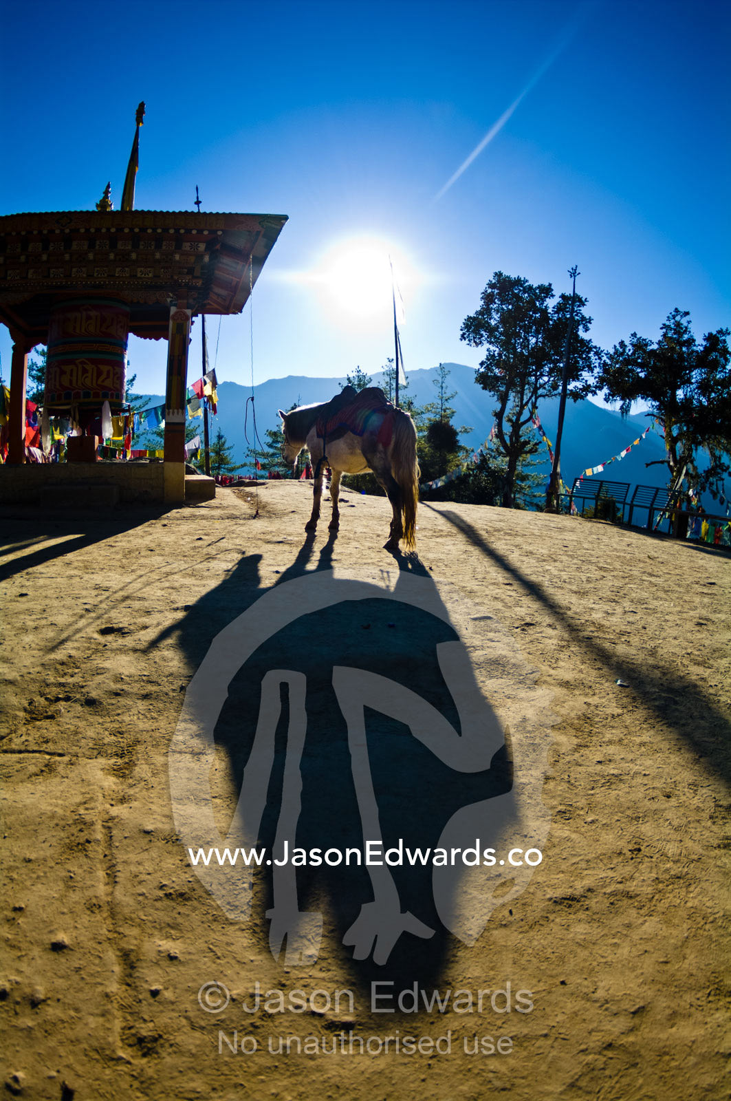 A pack horse carrying pilgrims to a Buddhist monastery in the mountains rests beside a prayer wheel. Paro Taktsang, The Tigers Nest, Paro Valley, Paro District, Bhutan.