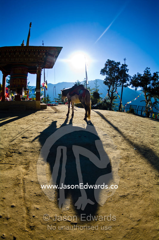 A pack horse carrying pilgrims to a Buddhist monastery in the mountains rests beside a prayer wheel. Paro Taktsang, The Tigers Nest, Paro Valley, Paro District, Bhutan.