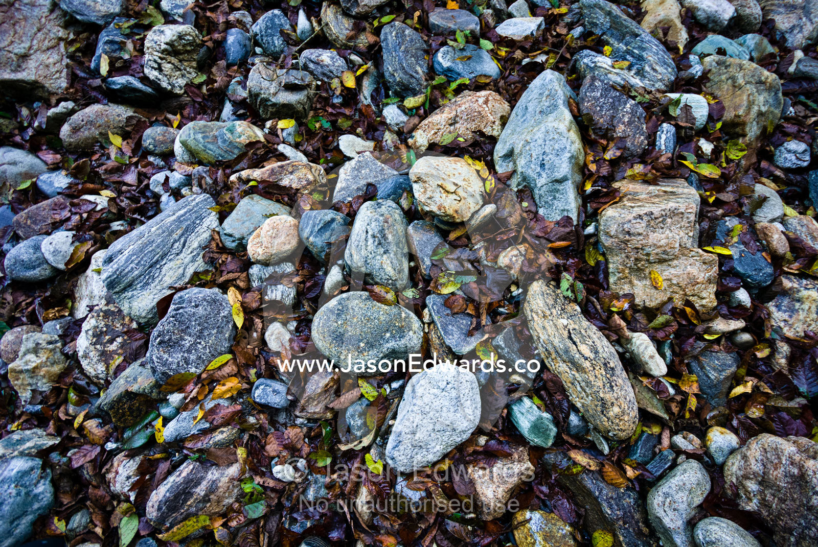 Rotting leaves from deciduous trees gather amongst boulders on the shore of an alpine river. Pho Chu, Pho River, Gasa Dzong, Gasa Tashi Tongmon Dzong, Gasa Gasa Dzongkhag District, Bhutan.