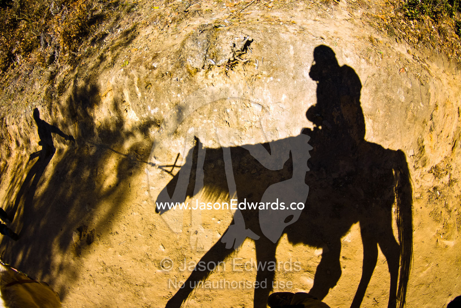 The shadow of an old pony carrying a photographer up a mountain path to a Buddhist monastery. Paro Taktsang, The Tigers Nest, Paro Valley, Paro District, Bhutan.