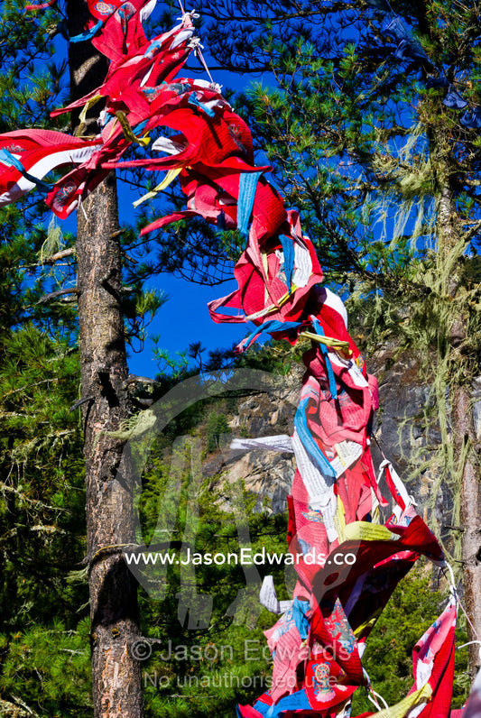 Bright red prayer flags flapping in the breeze on a Himalaya mountainside. Paro Taktsang, The Tigers Nest, Paro Valley, Paro District, Bhutan.