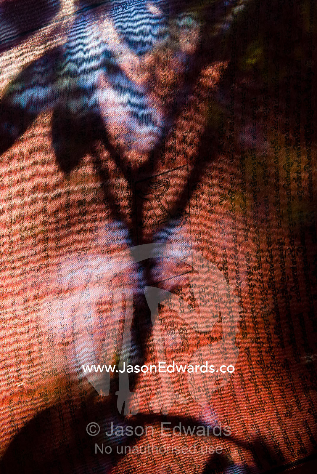 The shadow of a branch and leaves against a backlit red prayer flag with sanskrit text. Paro Taktsang, The Tigers Nest, Paro Valley, Paro District, Bhutan.