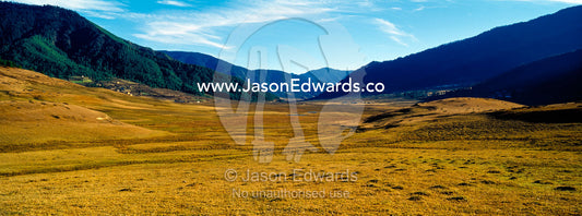 A wide, marshy floodplain in a high-altitude wetland in the Himalaya. Phobjikha Conservation Area, Phobjika Valley, Phobjikha Valley, Gangteng Valley, Black Mountains, Bhutan.