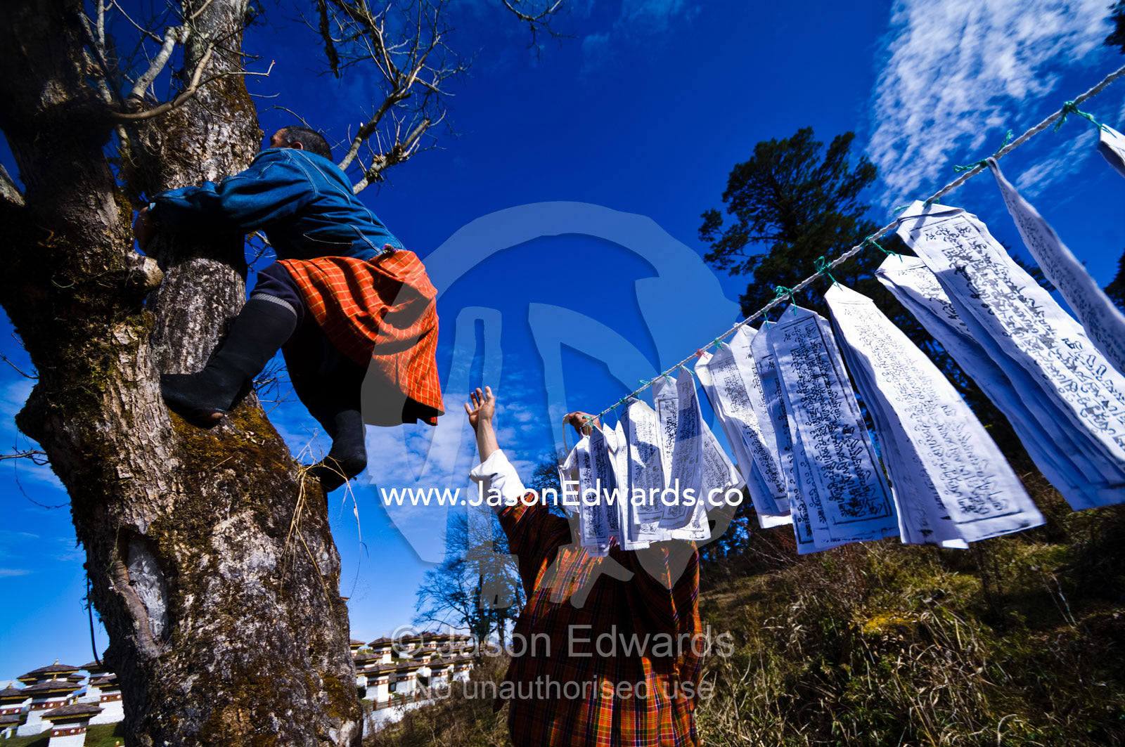 A Buddhist hangs a string of prayer flags between trees on a mountainside. 108 Druk Wangyal Khangzang Chortens, Dochula Pass, Thimphu District, Bhutan.