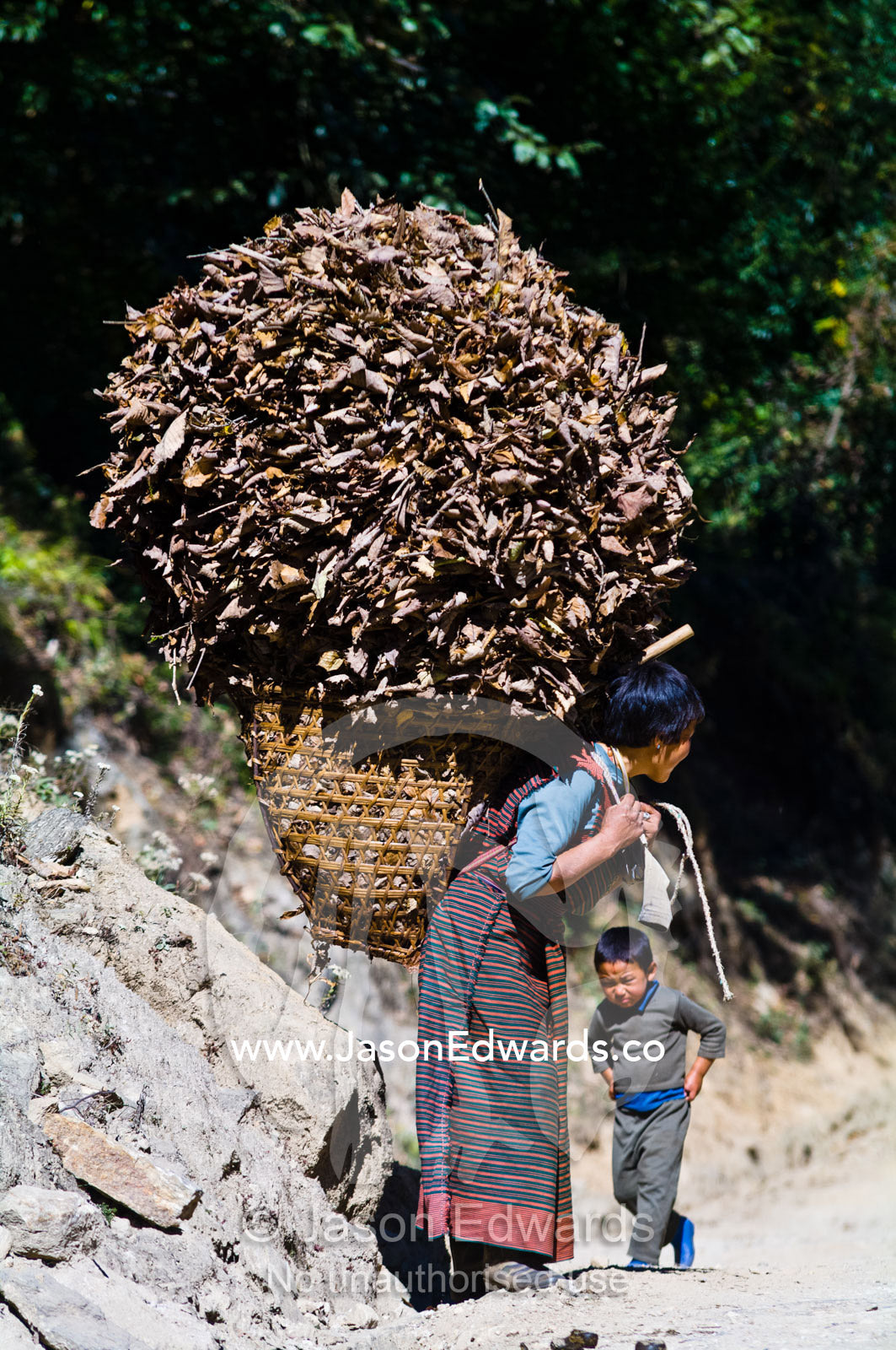 A small boy and his mother carry a huge basket of leaves and twigs on her back from her farm in the Himalaya mountains. Jigme Dorji National Park, Gasa District, Bhutan.
