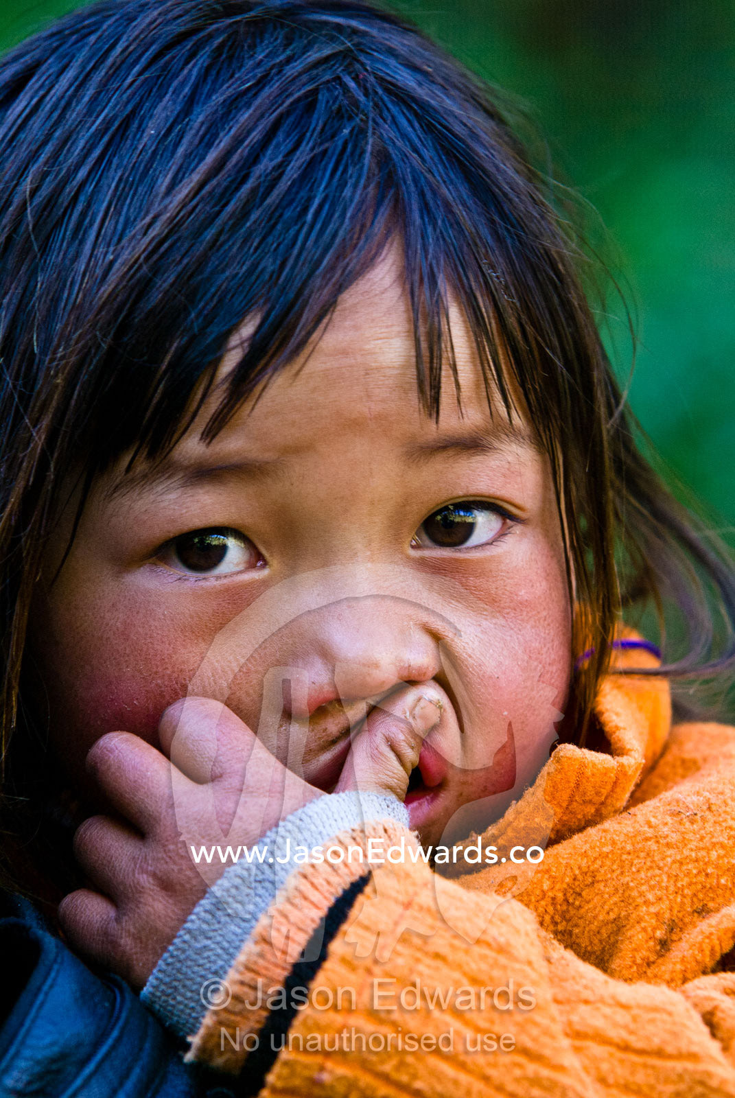 A small girl from a remote mountain village nervously plays with her lip as she looks at the camera. Jigme Dorji National Park, Gasa District, Bhutan.
