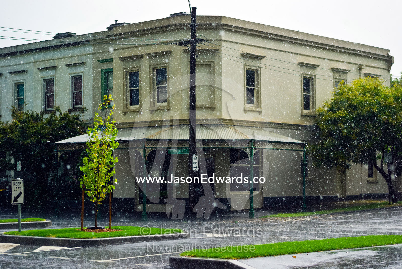 Torrential rain falls on an inner city garden strip on Christmas day. Carlton North, Melbourne, Victoria, Australia.