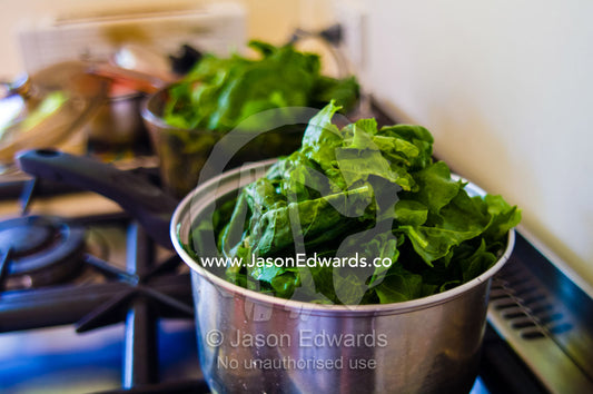 A stainless steel pot of fresh spinach leaves simmers on a cooktop. Castlemaine, Victoria, Australia.