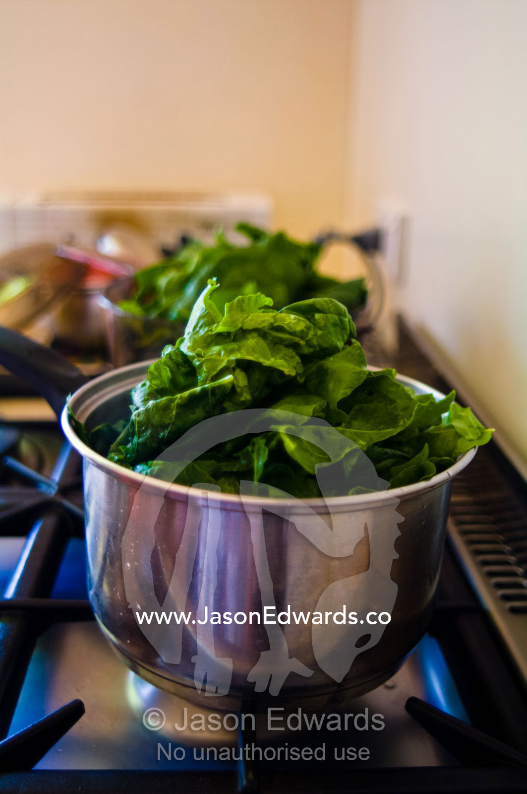 A stainless steel pot of fresh spinach leaves simmers on a cooktop. Castlemaine, Victoria, Australia.