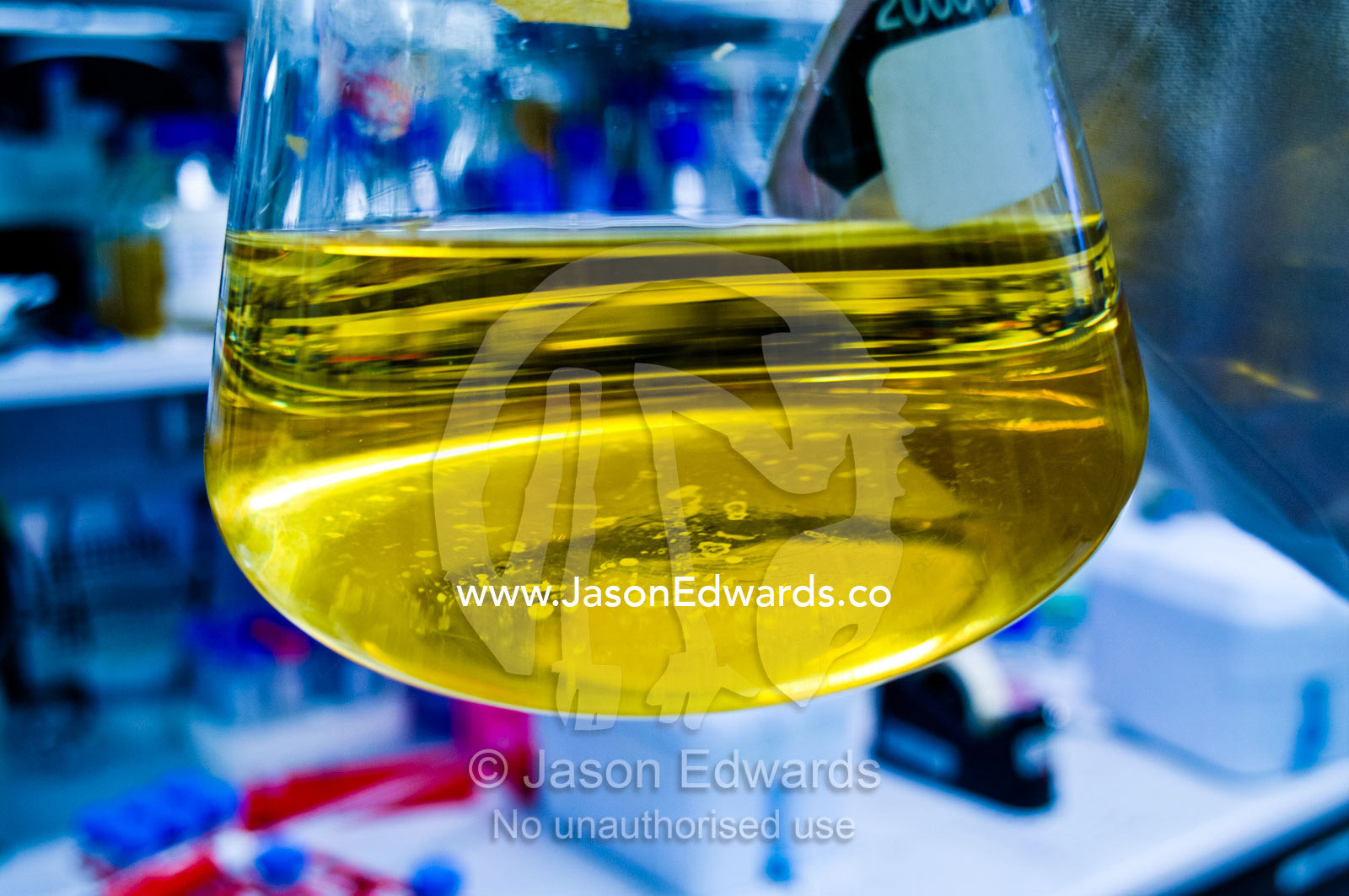 Flask and media to grow Escherichia coli cultures to express proteins. Bio21 Molecular Science and Biotechnology Institute, University of Melbourne, Parkville, Melbourne, Victoria, Australia.