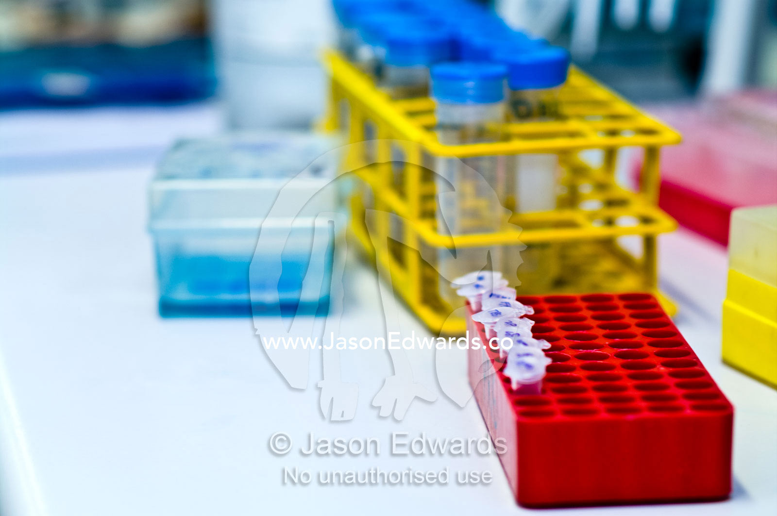 A rack of microcentrifuge tubes contain protein or bacterial samples. Bio21 Molecular Science and Biotechnology Institute, University of Melbourne, Parkville, Melbourne, Victoria, Australia.