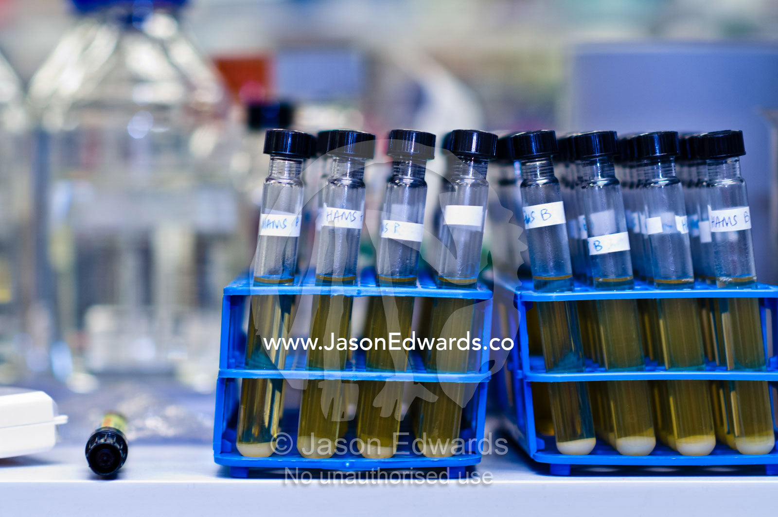 A laboratory rack of test tubes containing bacterial culture samples. Bio21 Molecular Science and Biotechnology Institute, University of Melbourne, Parkville, Melbourne, Victoria, Australia.