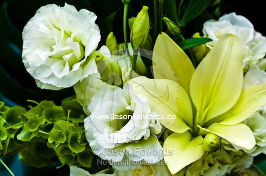 A brides bouquet of white roses and lilies on her wedding day. Melbourne, Victoria, Australia.