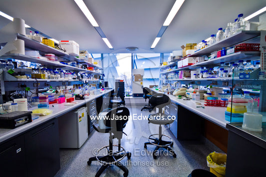 Typical laboratory workspace for a biochemist and molecular biologist. Bio21 Molecular Science and Biotechnology Institute, University of Melbourne, Parkville, Melbourne, Victoria, Australia.
