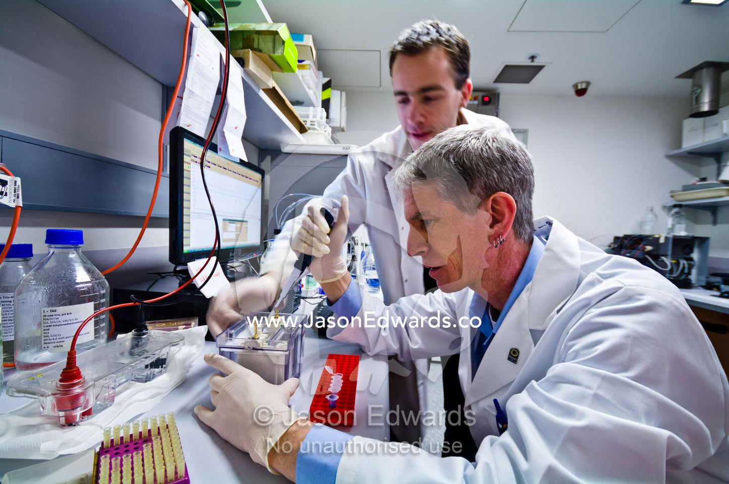 Scientists loading protein for a gel electrophoresis experiment. Bio21 Molecular Science and Biotechnology Institute, University of Melbourne, Parkville, Melbourne, Victoria, Australia.