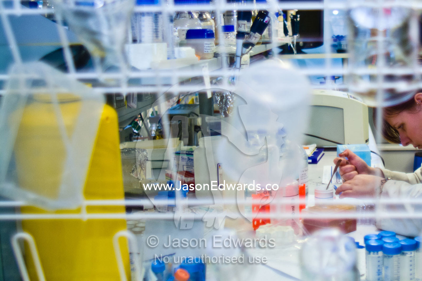 Greasing a protein crystallography tray to grow protein crystals. Bio21 Molecular Science and Biotechnology Institute, University of Melbourne, Parkville, Melbourne, Victoria, Australia.