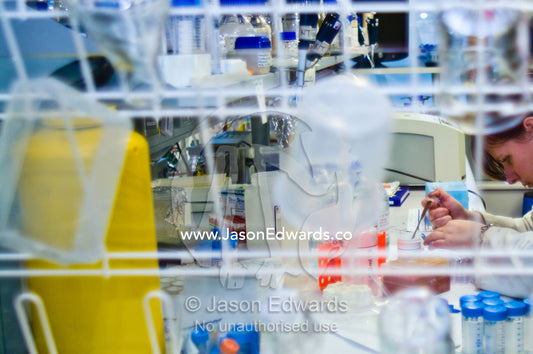 Greasing a protein crystallography tray to grow protein crystals. Bio21 Molecular Science and Biotechnology Institute, University of Melbourne, Parkville, Melbourne, Victoria, Australia.