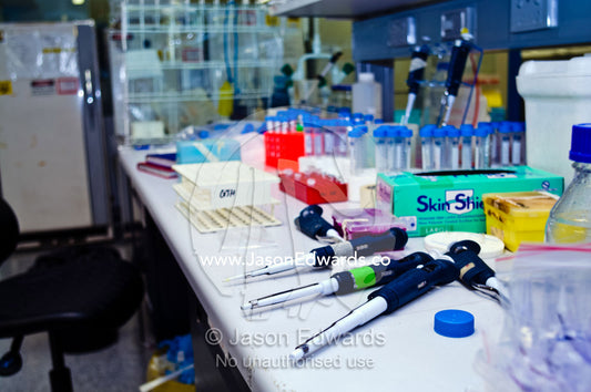 Pipettors are used by all kinds of scientists to dispense liquids. Bio21 Molecular Science and Biotechnology Institute, University of Melbourne, Parkville, Melbourne, Victoria, Australia.