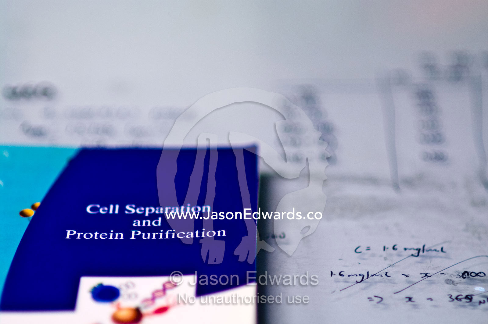 A guide for harvesting and purifying proteins from cell cultures. Bio21 Molecular Science and Biotechnology Institute, University of Melbourne, Parkville, Melbourne, Victoria, Australia.