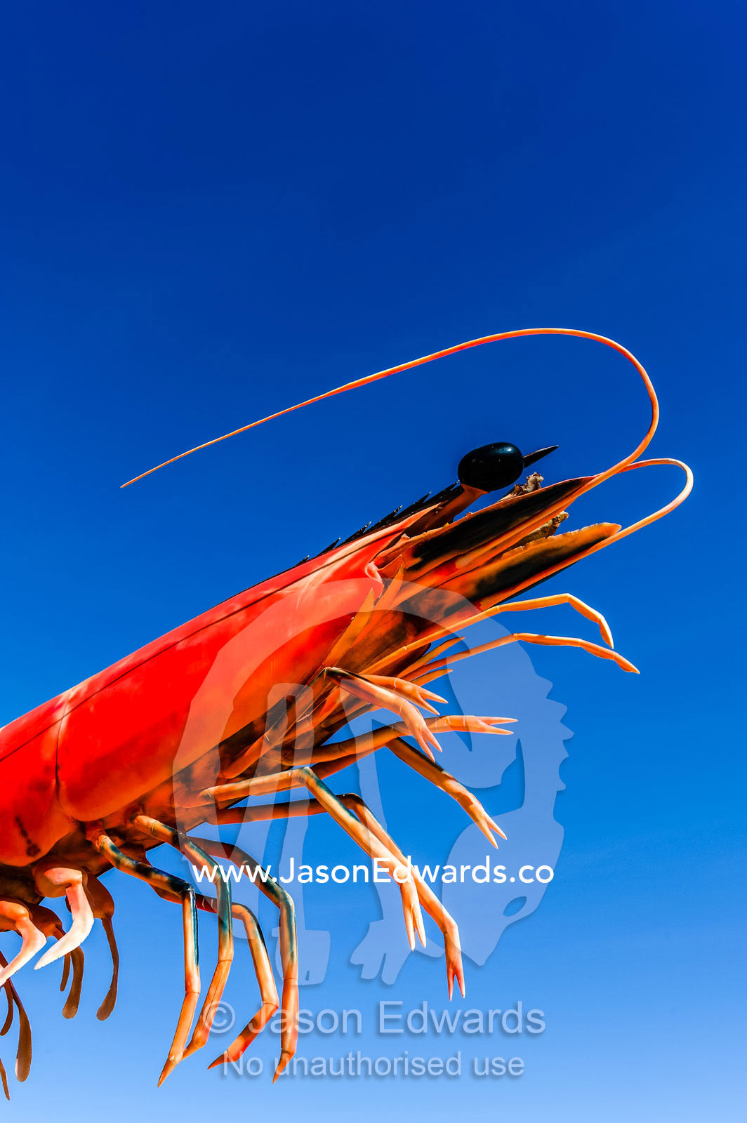 A giant Red Prawn statue in a fishing village against a blue sky. Exmouth, Ningaloo Reef, Western Australia, Australia.