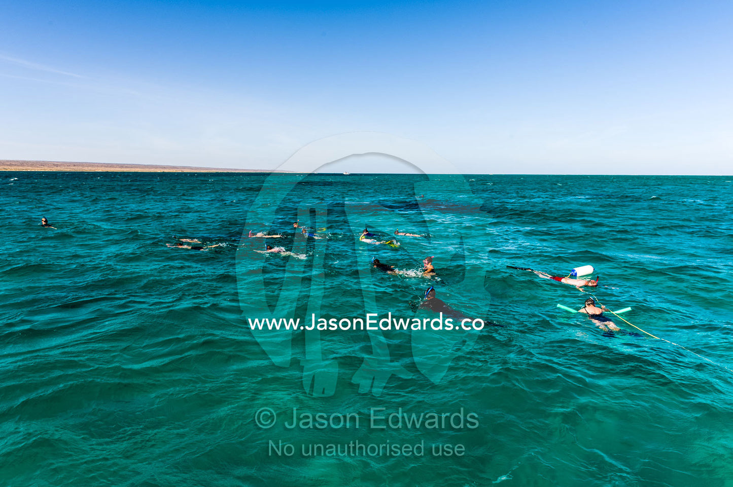 Tourists snorkel in turquoise tropical seas off a desert coastline. Exmouth, Ningaloo Reef, Ningaloo Marine Park, World Heritage Site, Western Australia, Australia.