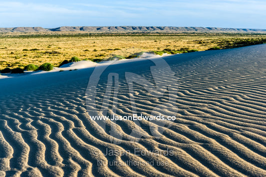 Late afternoon sun rays over windblown ripples on a coastal sand dune. Cape Range National Park, Exmouth, Ningaloo Reef, Western Australia, Australia.