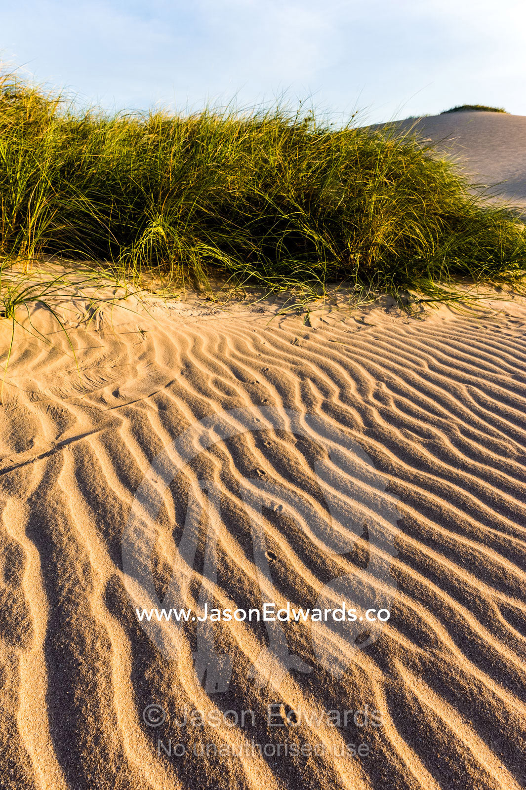 Grass tussock stabilise windswept coastal desert sand dunes at sunset. Cape Range National Park, Exmouth, Ningaloo Reef, Western Australia, Australia.