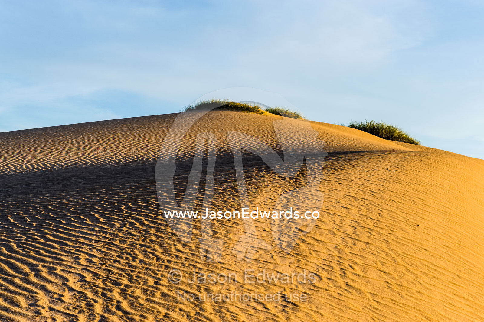 Wind ripples on the surface of a coastal desert sand dune at sunset. Cape Range National Park, Exmouth, Ningaloo Reef, Western Australia, Australia.
