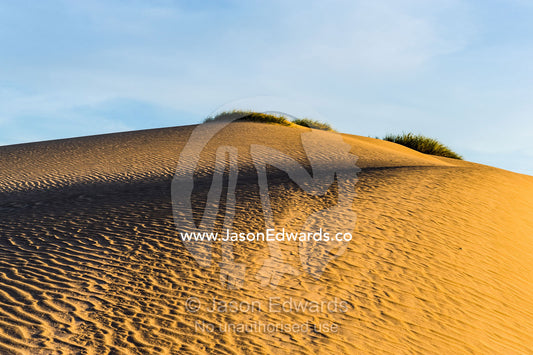 Wind ripples on the surface of a coastal desert sand dune at sunset. Cape Range National Park, Exmouth, Ningaloo Reef, Western Australia, Australia.
