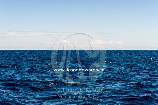 A calm ocean surface stretching all the way to the horizon. Exmouth, Ningaloo Reef, Ningaloo Marine Park, World Heritage Site, Western Australia, Australia.