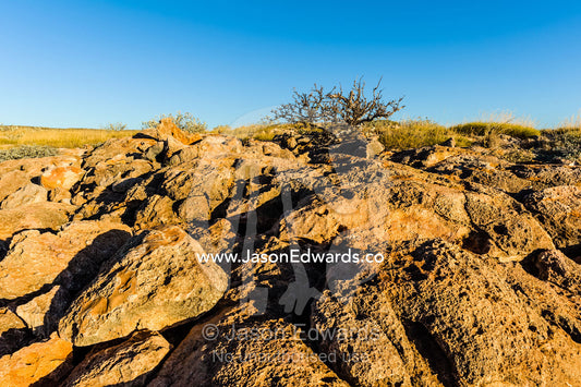 An ancient eroded limestone reef exposed to the baking desert sun. Cape Range National Park, Exmouth, Ningaloo Reef, Western Australia, Australia.