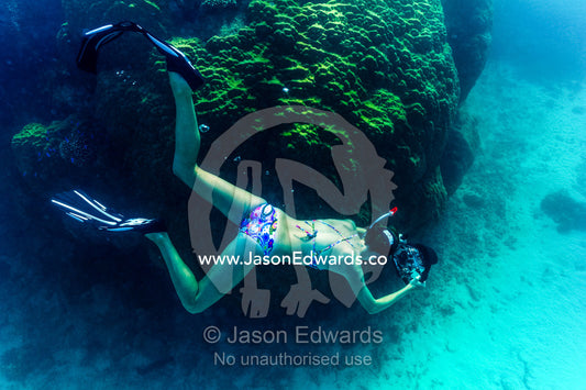 A free-diver explores a tropical coral reef with a video camera. Exmouth, Ningaloo Reef, Ningaloo Marine Park, Western Australia, Australia.