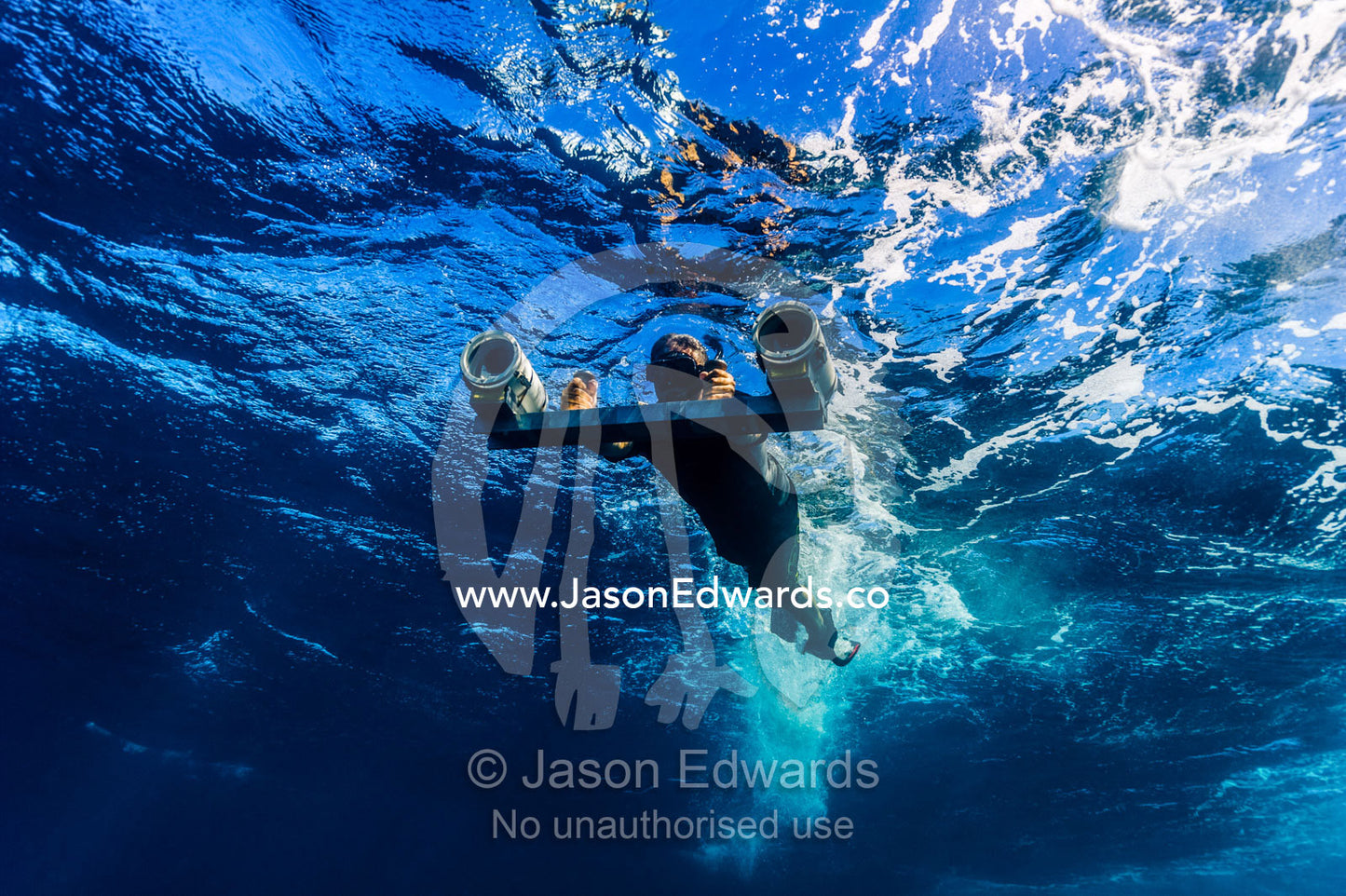 Scientists uses stereo video cameras to measure a Whale Sharks length. Exmouth, Ningaloo Reef, Ningaloo Marine Park, Western Australia, Australia.