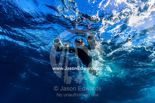 Scientists uses stereo video cameras to measure a Whale Sharks length. Exmouth, Ningaloo Reef, Ningaloo Marine Park, Western Australia, Australia.
