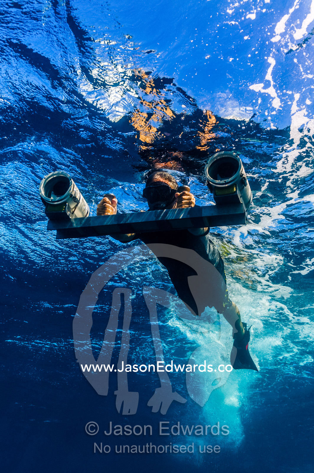 Scientists uses stereo video cameras to measure a Whale Sharks length. Exmouth, Ningaloo Reef, Ningaloo Marine Park, Western Australia, Australia.