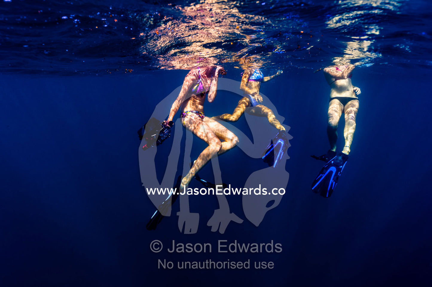 Free-divers in bikinis float on the ocean surface with a video camera. Exmouth, Ningaloo Reef, Ningaloo Marine Park, Western Australia, Australia.