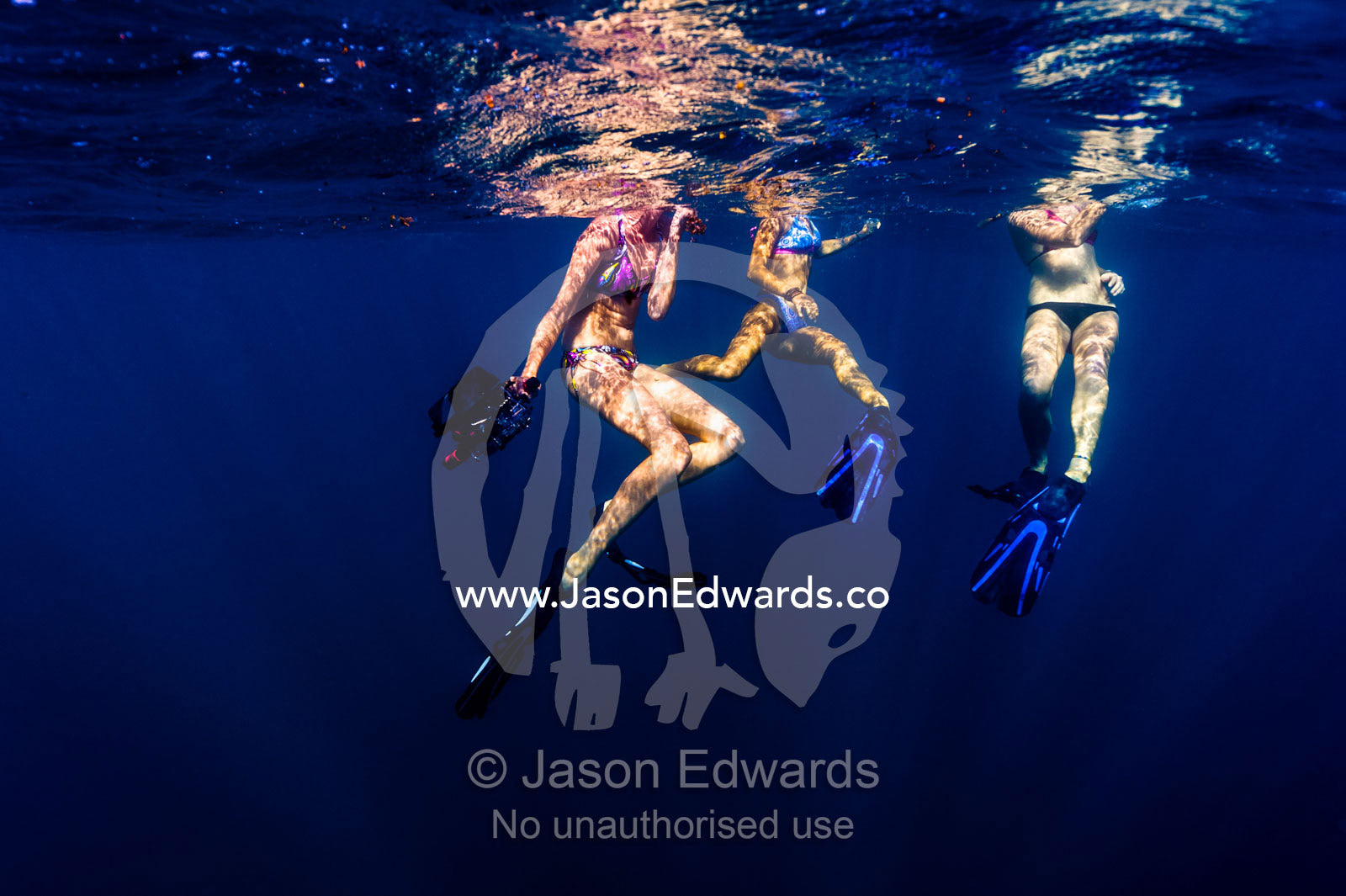 Free-divers in bikinis float on the ocean surface with a video camera. Exmouth, Ningaloo Reef, Ningaloo Marine Park, Western Australia, Australia.