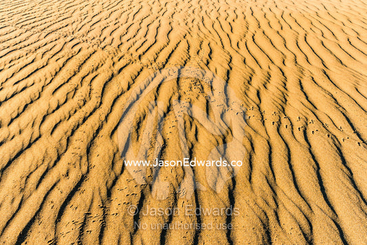 Reptile and birds footprints cross the rippled surface of a sand dune. Cape Range National Park, Exmouth, Ningaloo Reef, Western Australia, Australia.
