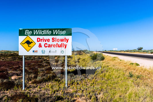A wildlife warning sign near a remote highway in the desert. Cape Range National Park, Exmouth, Ningaloo Reef, Western Australia, Australia.