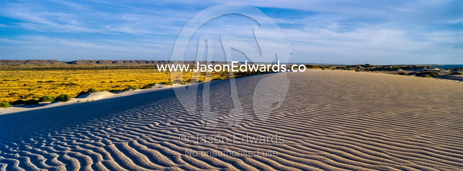 Wind ripples on the surface of a coastal desert sand dune at sunset. Cape Range National Park, Exmouth, Ningaloo Reef, Western Australia, Australia.