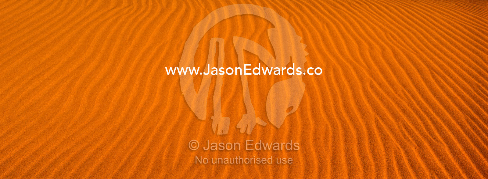 Geometric ripples in the face of a red sand dune in a coastal desert. Cape Range National Park, Exmouth, Ningaloo Reef, Western Australia, Australia.