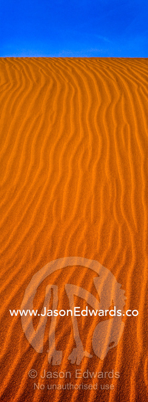 Geometric ripples in the face of a red sand dune in a coastal desert. Cape Range National Park, Exmouth, Ningaloo Reef, Western Australia, Australia.